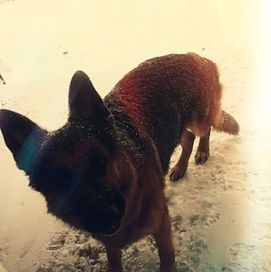 Meet your Posher, Tara